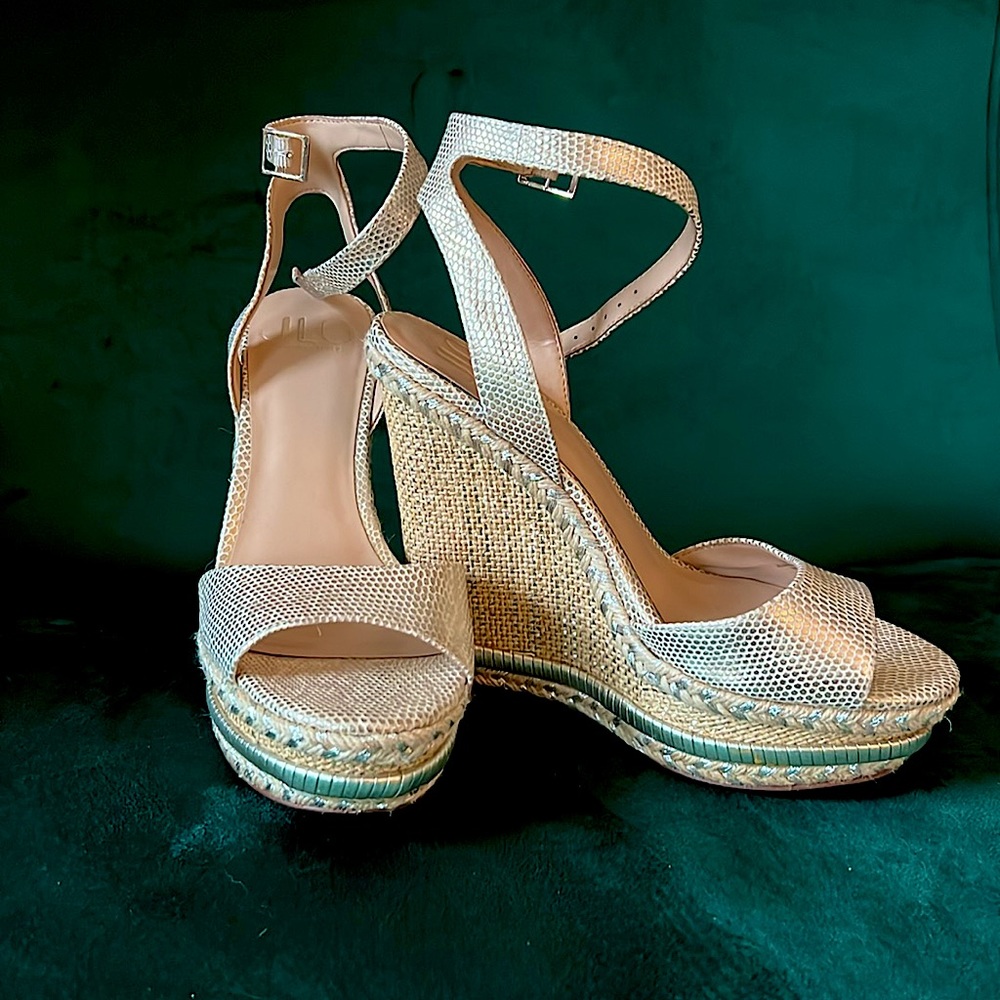 JLO platform espadrilles -Women’s 9.5 US